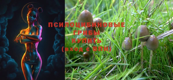 синтетический гашиш Магадан