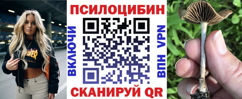 блэк спрут ссылки  Звенигово  Псилоцибиновые грибы Psilocybine cubensis 